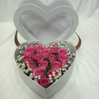 IMG20230213202722 scaled