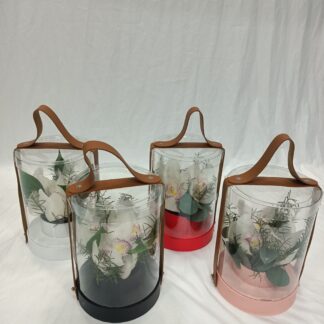 IMG20230213204603 scaled